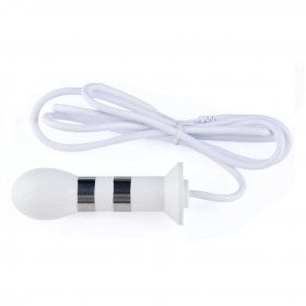 Sonda anal 2